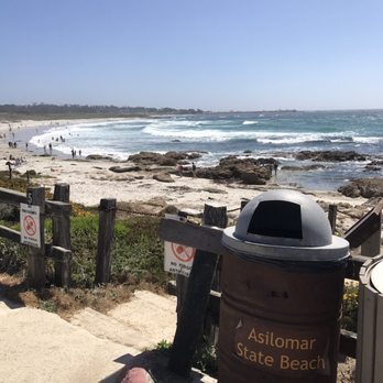 Asilomar State Beach - Gorgeous waters with white sand - Parks Near Me - Pacific Grove, California Asilomar State Beach - Gorgeous waters with white sand - Parks Near Me - Pacific Grove, California