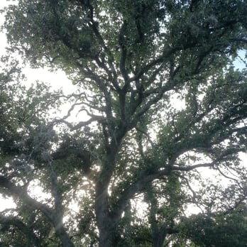 Bracken Bat Cave - Local Flavor Near Me - Garden Ridge, Texas