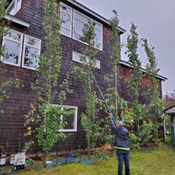 Ambassador Window Cleaning - Call us to schedule a free estimate!