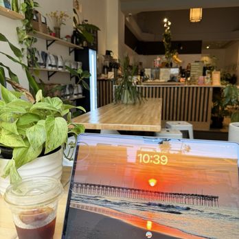 Corner Coffee - Plenty of seating, great place to work, plants and artwork for sale. - Coffee & Tea Near Me - Minneapolis, Minnesota