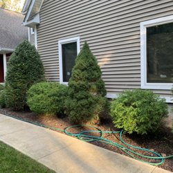 Jh Lawncare - Shrubs Trimming