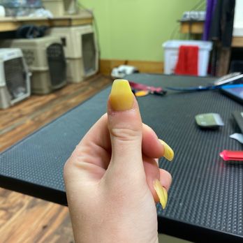 N Nails Spa - Spent all that time filing my nails and they aren't even straight coffin nails - Nail Salons Near Me - Rutland, Vermont N Nails Spa - Spent all that time filing my nails and they aren't even straight coffin nails - Nail Salons Near Me - Rutland, Vermont