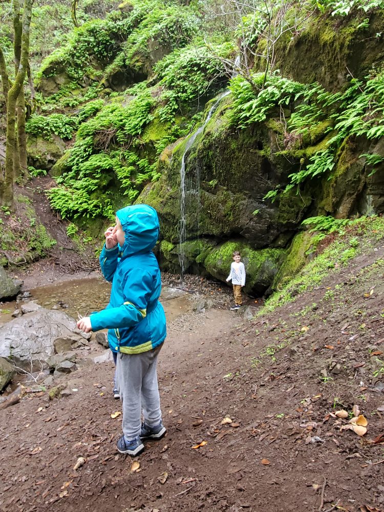 HEARTWOOD CHARTER SCHOOL Updated September 2024 12 Photos 170