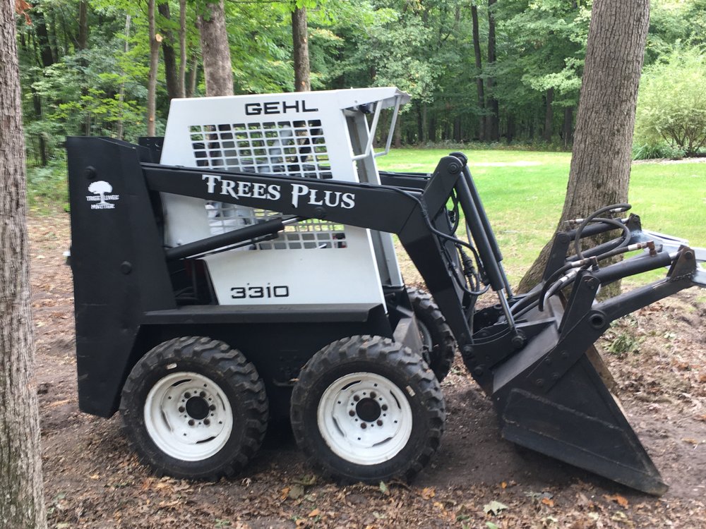 Trees Plus - tree service in Dubuque, IA