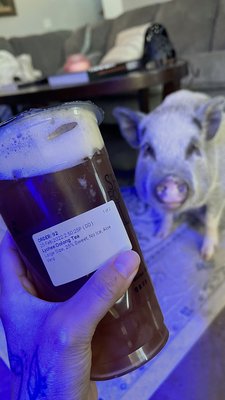 Ding Tea Tucson by null