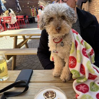 Bunker - Dog friendly patio as well! - Speakeasies Near Me - Chicago, Illinois