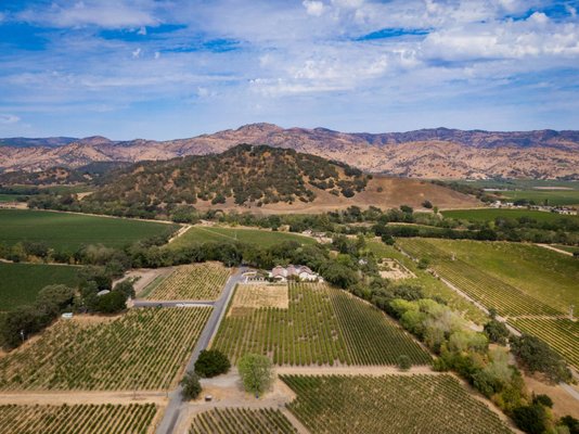 Napa Valley Tours & Transportation by null