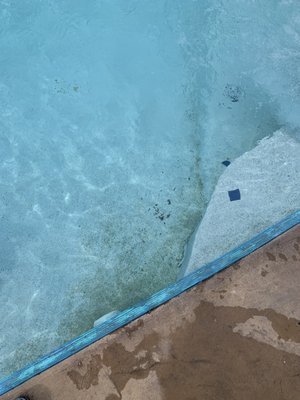 Kelleys Island Venture Resort by null