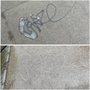A1 Pressure Wash