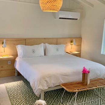 Les Cactus - So cute! Milk loved it too! - Hotels Near Me - Palm Springs, California