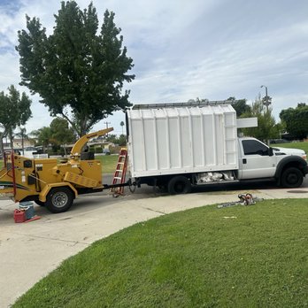 Affordable Tree Care - Luis brought his own team and tools !! - Tree Services Near Me Affordable Tree Care - Luis brought his own team and tools !! - Tree Services Near Me