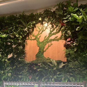 Alcove - Living tree overlooking the bar area - Venues & Event Spaces Near Me - Cincinnati, Ohio Alcove - Living tree overlooking the bar area - Venues & Event Spaces Near Me - Cincinnati, Ohio