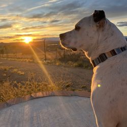 Santa Fe Skies Rv Park - Sunset from the property.