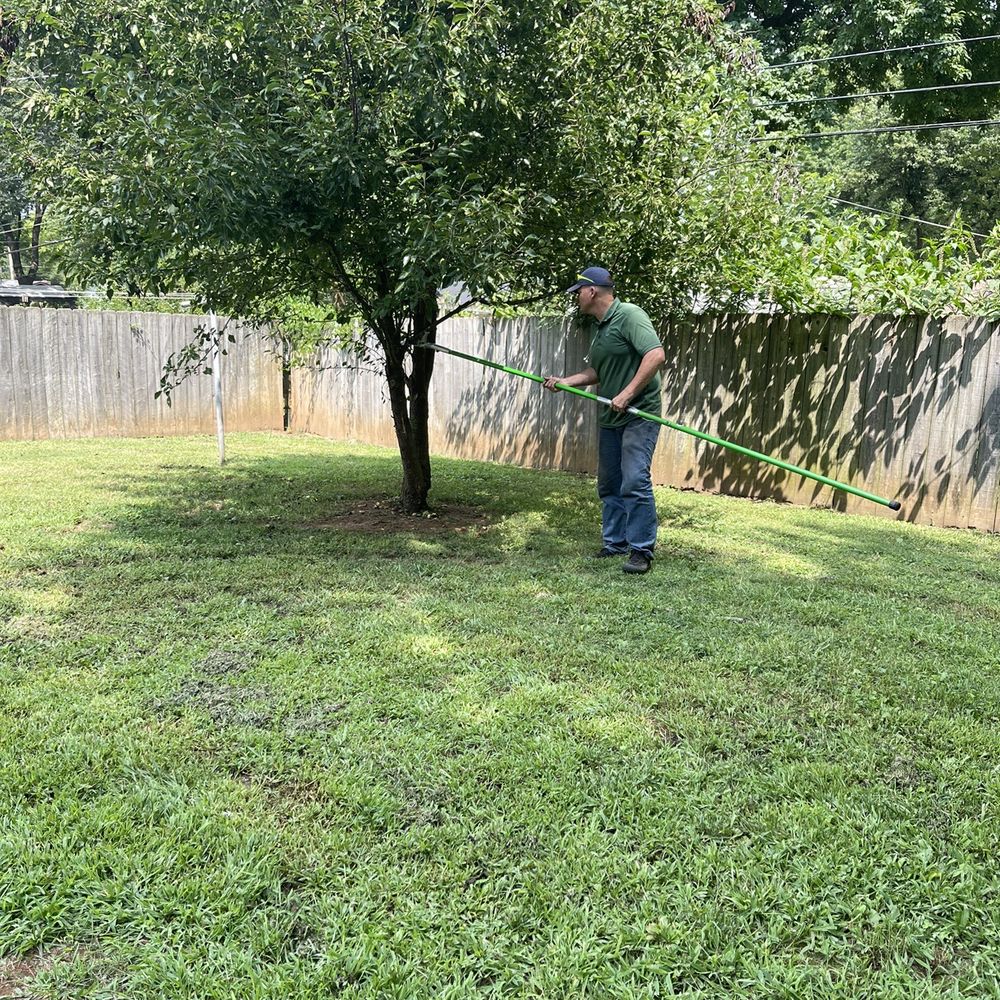 All-Star Landscaping - Markus trims ands shapes a tree in the backyard. - Tree Services Near Me All-Star Landscaping - Markus trims ands shapes a tree in the backyard. - Tree Services Near Me
