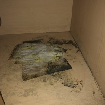 Aunt Bug's Cabin Rentals - Nasty mold and mildew in kitchen cabinet, 4 days in and still no one has come to clean this up. - Vacation Rentals Near Me - Pigeon Forge, Tennessee Aunt Bug's Cabin Rentals - Nasty mold and mildew in kitchen cabinet, 4 days in and still no one has come to clean this up. - Vacation Rentals Near Me - Pigeon Forge, Tennessee