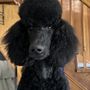 Photo of Cain Veterinary Clinics