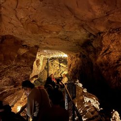 Squire Boone Caverns - Class field trip (cave tour)