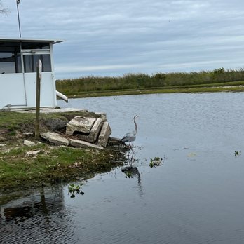 Wild Willy's Airboat Tours - Boat Tours Near Me - Saint Cloud, Florida
