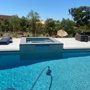 Swim Clean Pools