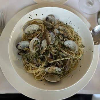 Bellini Italian Bistro - Italian Near Me - Weston, Florida Bellini Italian Bistro - Italian Near Me - Weston, Florida