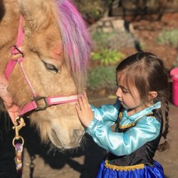 Tickle Me Pony Parties and Traveling Petting Zoo