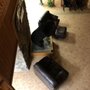 Photo of Blackwater Lodge & Training Ctr Gun Safty Instrctn