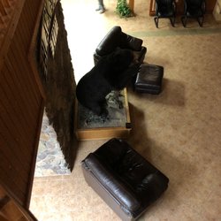 Blackwater Lodge & Training Ctr Gun Safty Instrctn - RAAAAAAWWWWWRRRRR!