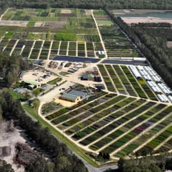 Green Biz Nursery & Landscaping - We grow 95% of the plant material we sell and install at our 120 acre growing facility.