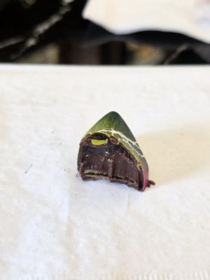 Cacao & Cardamom Chocolatier by null