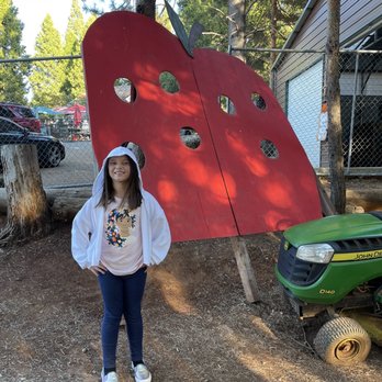 Hidden Star - Cideries Near Me - Camino, California Hidden Star - Cideries Near Me - Camino, California