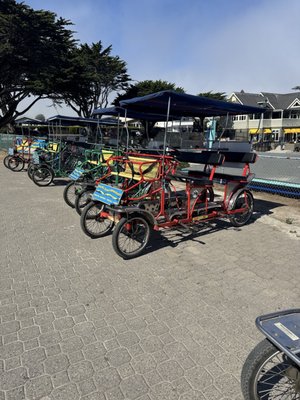 Pacific Grove Adventures by null