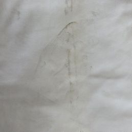 burned Gi Pants.