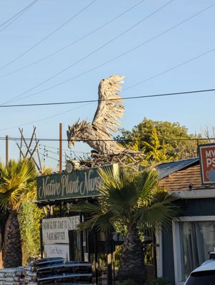 Dylan's Tours by null