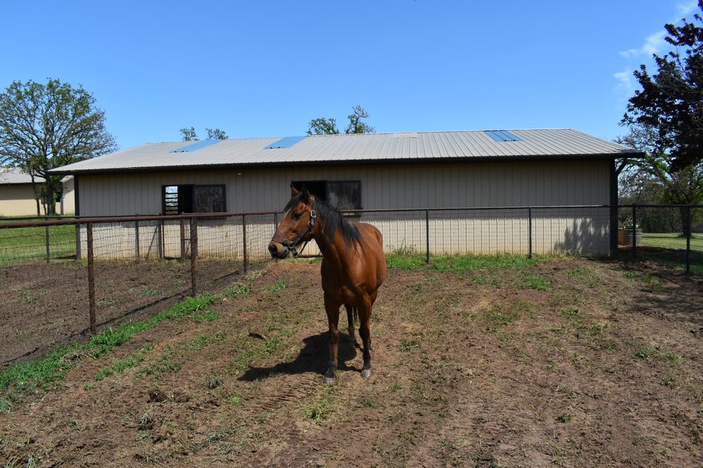 ROSE BUD RANCH Updated September 2024 5945 North Anderson Rd