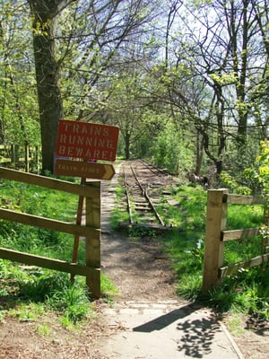 Kirkstall Abbey by null