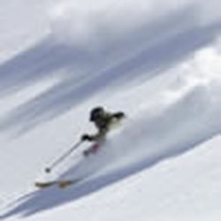 Söll