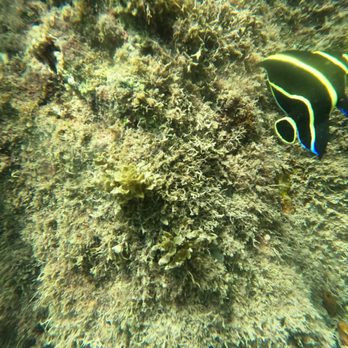 Try Scuba Diving - Scuba Diving Near Me - San Juan, Puerto Rico