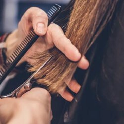 Arizona Hair Co #18 - North Phoenix & East Bell