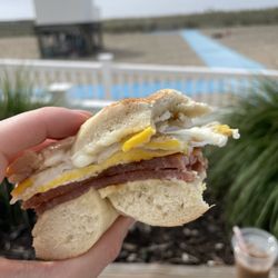 Hot Bagels and More - Pork Roll Egg & Cheese "Sangwich"