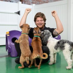 Wag Hotels - Carson - Not only are Wag Hotels handlers highly trained and experienced caretakers - we are all huge animal lovers!