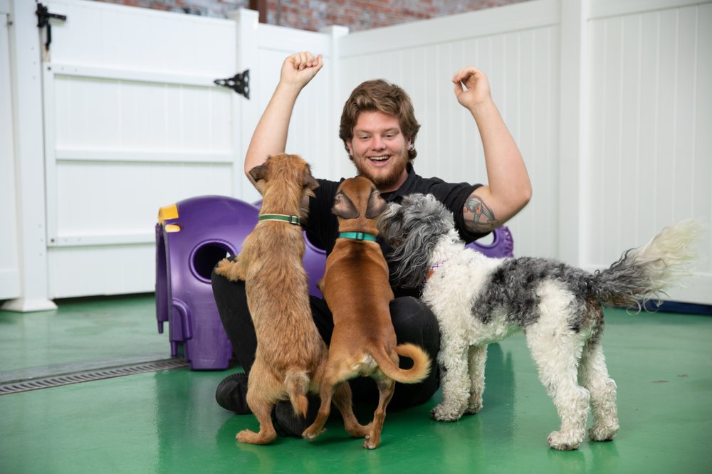Wag Hotels - Carson - pet boarding facility in Carson, CA
