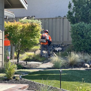 Quality Tree Care - Tree Services Near Me - Pleasant Hill, California Quality Tree Care - Tree Services Near Me - Pleasant Hill, California