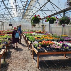 Azusa Garden Centre - Greenhouse full of annuals.