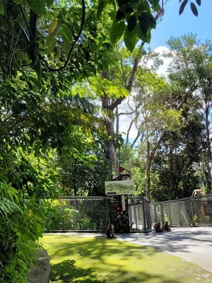 The Habitat Penang Hill by null