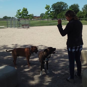 Dog Park - A new friend at the park for our pit Jax. - Dog Parks Near Me - Cleveland, Ohio
