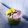 Photo of Brio Bowls by Keiko