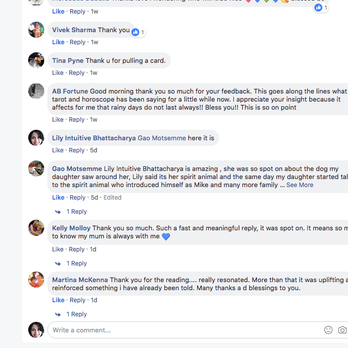 Lily Bhattacharya, PsyD - Feedback from Facebook Group Divine Love and Light Psychic Readings - Life Coach Near Me - Encinitas, California