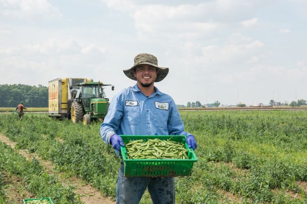 The Chef's Garden by null