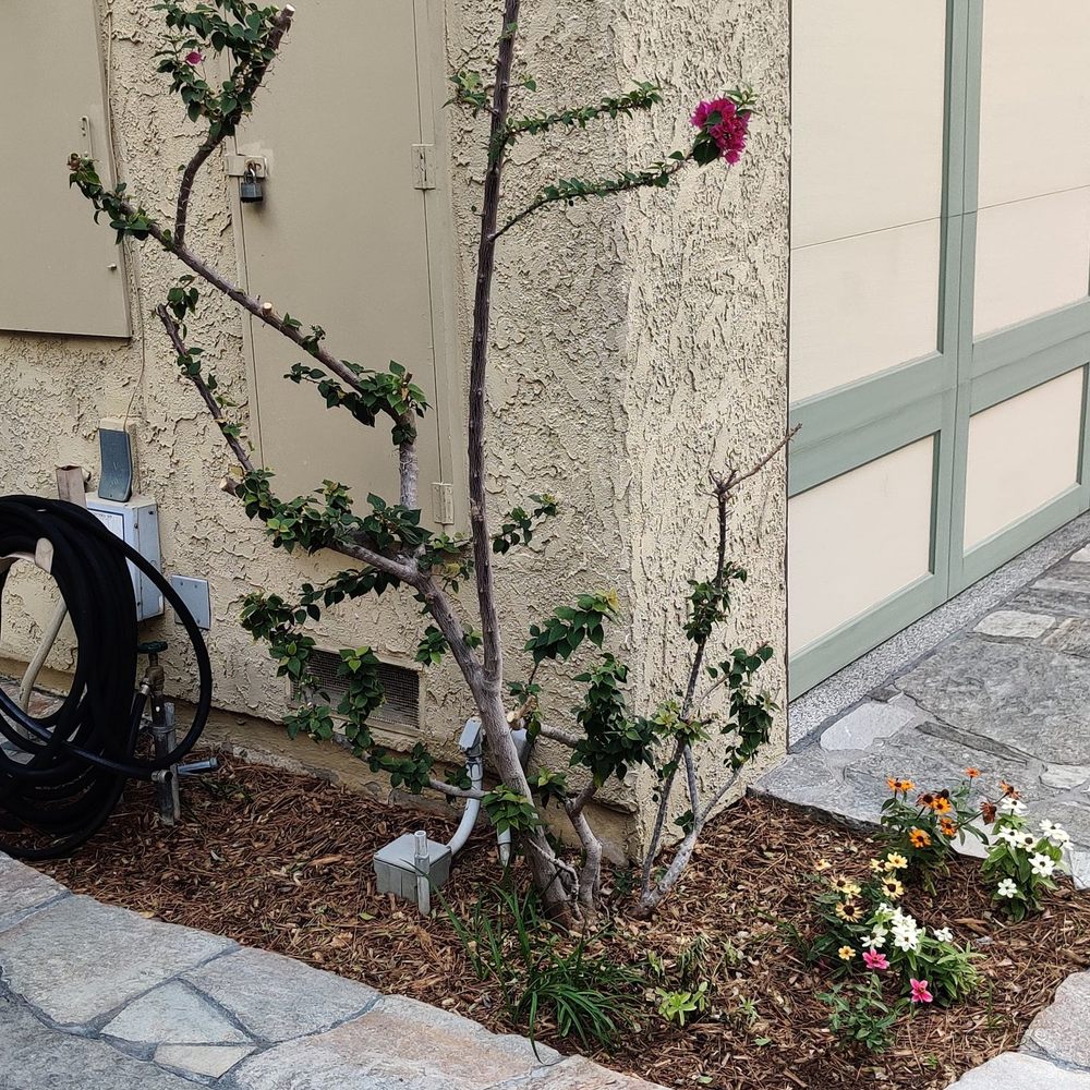 Automatic Sprinkler Controls - After - Landscaping Near Me - Panorama City, California Automatic Sprinkler Controls - After - Landscaping Near Me - Panorama City, California