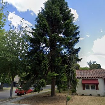 Charles Schwab's Tree Service - Tree Services Near Me - Modesto, California